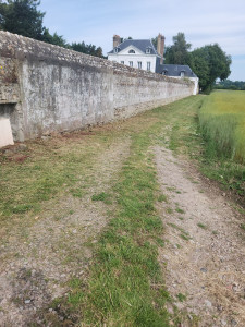 Photo de galerie - Debroussaillage d'une allée privée 