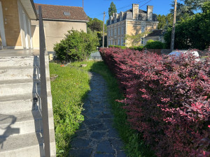 Photo de galerie - Avant taille + tonte 