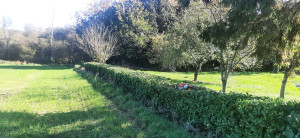 Photo de galerie - Une partie  du travail  que je fais 