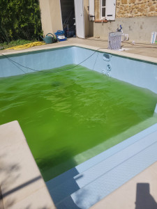 Photo de galerie - Entretien piscine