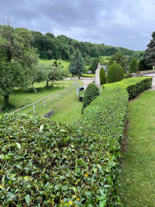 Photo de galerie - Taille de haie en hauteur 