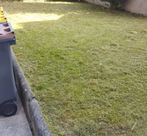 Photo de galerie - Débroussaillage et tonte de pelouse