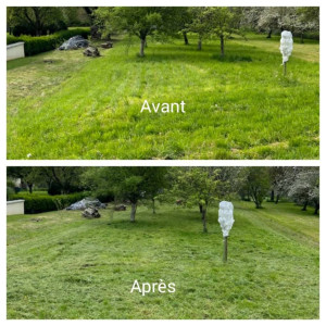 Photo de galerie - Tonde de pelouse Avant/Après 