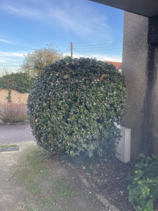 Photo de galerie - Jardinier