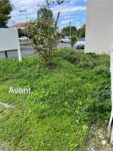 Photo de galerie - Tonte de pelouse - Débroussaillage