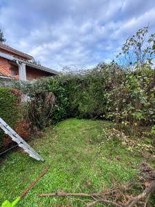 Photo de galerie - Elagage et coupe d'arbres