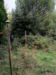 Photo de galerie - Débroussaillage terrain 