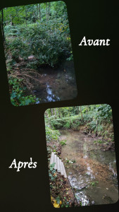 Photo de galerie - Résultats final, avant - après 