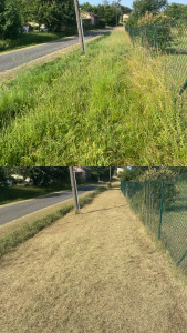 Photo de galerie - Débroussaillage puis tonte