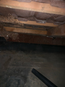 Photo de galerie - Nettoyage d’un grenier 