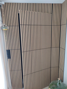 Photo de galerie - Porte masquée avec base de panneaux acheté chez action. coût global 880€.