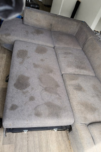 Photo de galerie - Préparation - nettoyage de salle