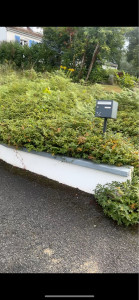 Photo de galerie - Tonte de pelouse - Débroussaillage