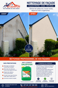 Photo de galerie - NETTOYAGE PROFESSIONNEL DE VOS FAÇADES
