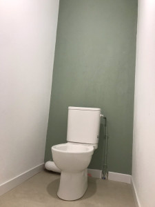 Photo de galerie - Rénovation d’une toilette pose  peinture + pose de dalle en PVC+ changement de WC