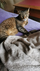 Photo de galerie - Visite à domicile ?