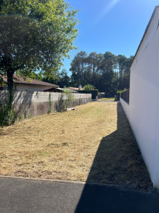 Photo de galerie - Tonte