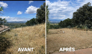 Photo de galerie - Débroussaillage 