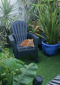 Photo de galerie - Accès au jardin possible 