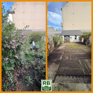 Photo de galerie - Remise en état 