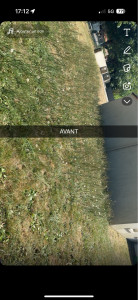 Photo de galerie - Tonte de pelouse - Débroussaillage