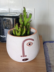 Photo de galerie - Home sitting - Accueil - Gardiennage