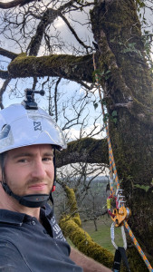 Photo de galerie - Elagage et coupe d'arbres