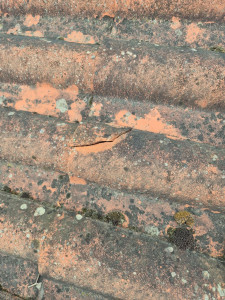 Photo de galerie - Couverture - Toiture