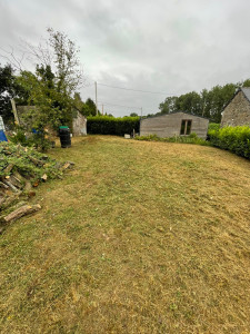 Photo de galerie - Débroussaillage 