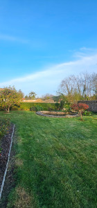 Photo de galerie - APRÈS 
tonte et taille de haie. 