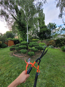 Photo de galerie - Taille en nuage 