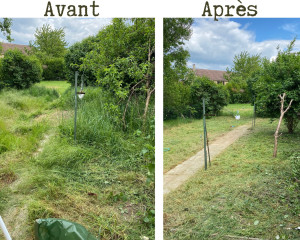 Photo de galerie - Débroussaillage complet du terrain; Tonte soignée de toute la surface; Taille des branches de l’arbre central; Nettoyage et dégagement de l’allée en béton