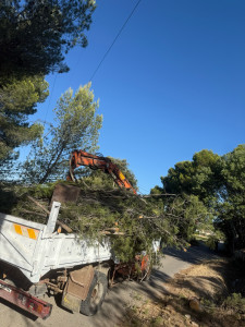 Photo de galerie - évacuation déchet vert 