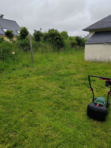 Photo de galerie - Tonte de pelouse - Débroussaillage