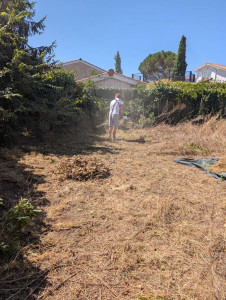 Photo de galerie - Remise en état du jardin 