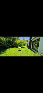 Photo de galerie - Paysagiste - Aménagement du jardin