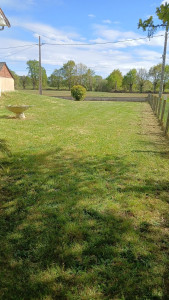 Photo de galerie - Tonte 