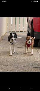 Photo de galerie - Très passionnée