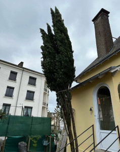 Photo de galerie - Avant 