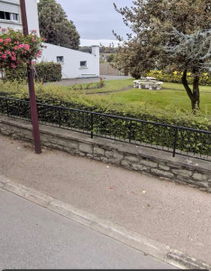 Photo de galerie - Taille de haie 