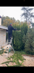 Photo de galerie - Taille de hais 