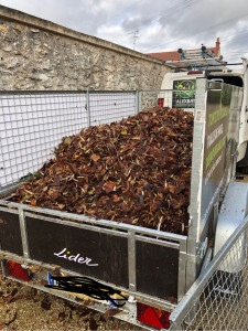 Photo de galerie - Évacuation de feuilles