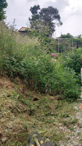 Photo de galerie - Tonte de pelouse - Débroussaillage