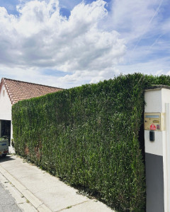 Photo de galerie - Chantier boves 