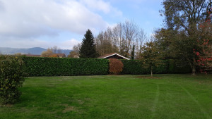 Photo de galerie - Jardinier