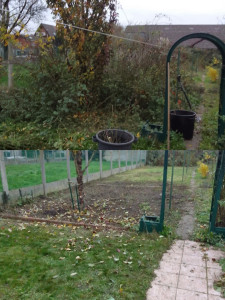 Photo de galerie - Nettoyage de terrain 