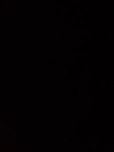 Photo de galerie - Disponible au 06.36.48.54.38