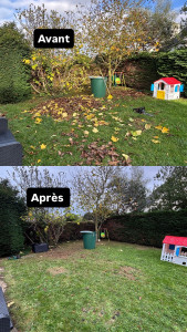 Photo de galerie - Tonte de pelouse - Débroussaillage