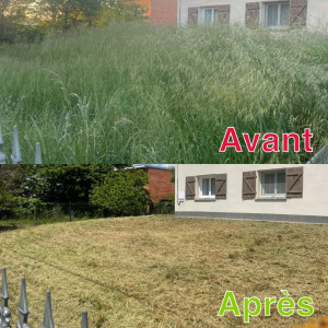 Photo de galerie - Tonte de pelouse - Débroussaillage