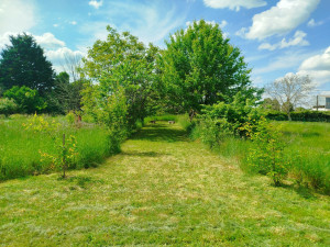 Photo de galerie - Débroussailleuse + Tondeuse 